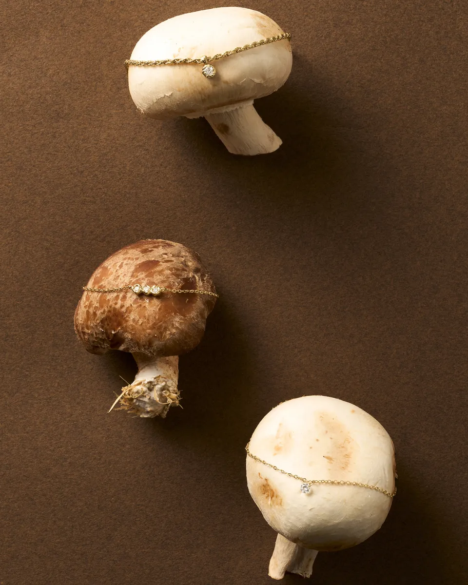 Agapée Campagne Ada, image 5