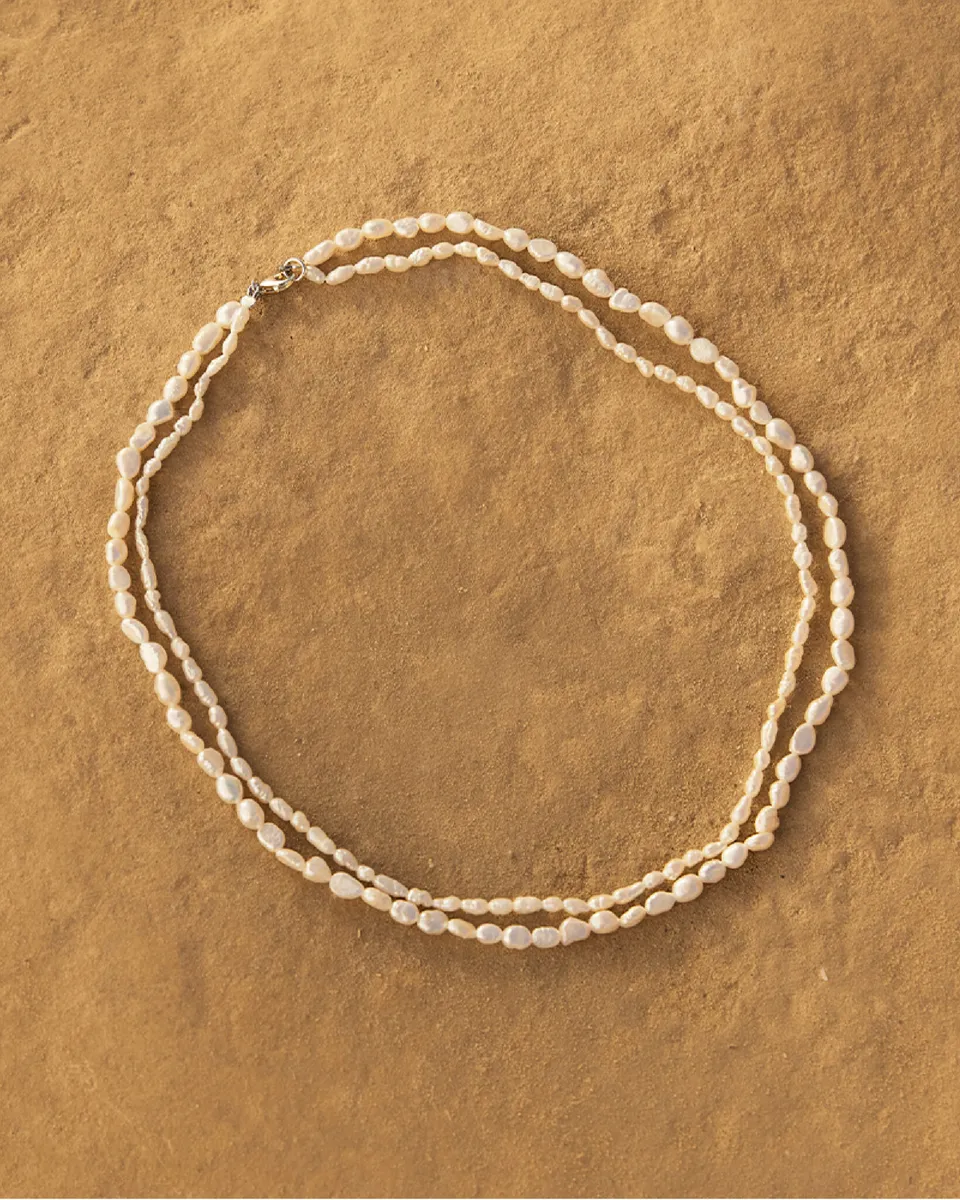Agapée Campagne Nereis, image 6
