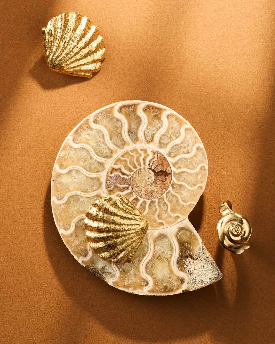 Agapée Campagne summer, image 3