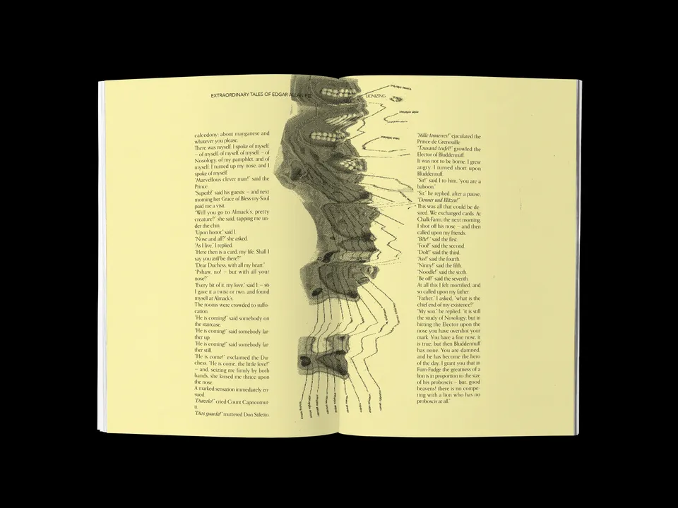 Recueil de nouvelles d'Edgar Allan Poe, image 18